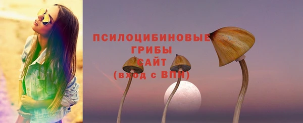 крисы Балахна