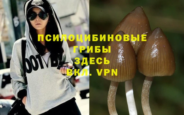 Альфа ПВП Баксан