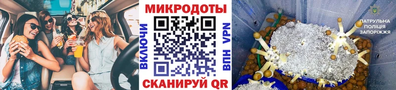 мориарти Telegram Иланский Галлюциногенные грибы Magic Shrooms